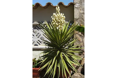 Villa Katharina dos con piscina