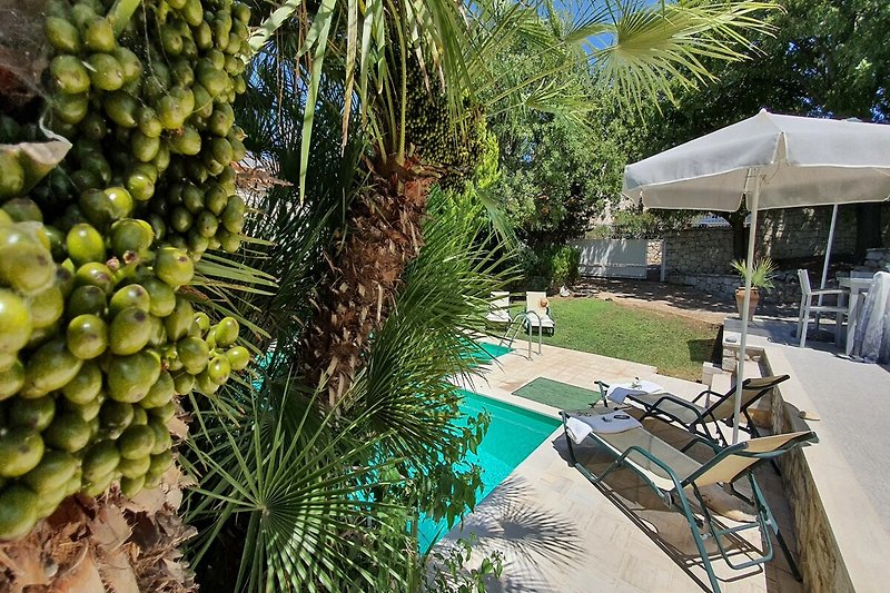 Ihre Villa mit Pool, Sonnenliegen, Pflanzen... Erfrischend und entspannend. ??‍♂️?