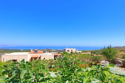 Villa Tara