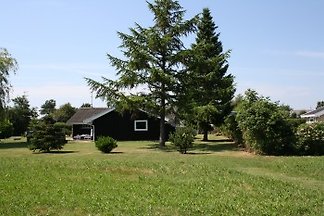 Lærkemose, Skovmose, Südals