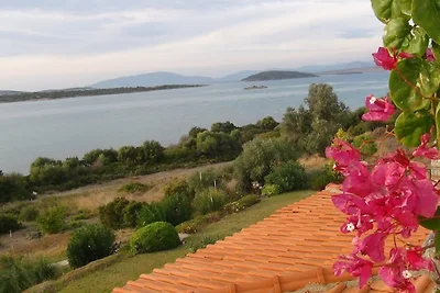 Ferienwohnung am Meer in Cesme
