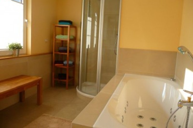 Salle de bain avec douche et jacuzzi