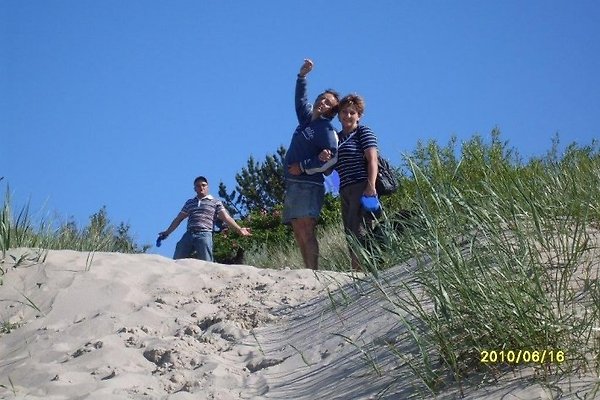 Family Gryga Family Gryga