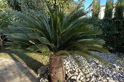 Casa Hannelore mit privatem Garten