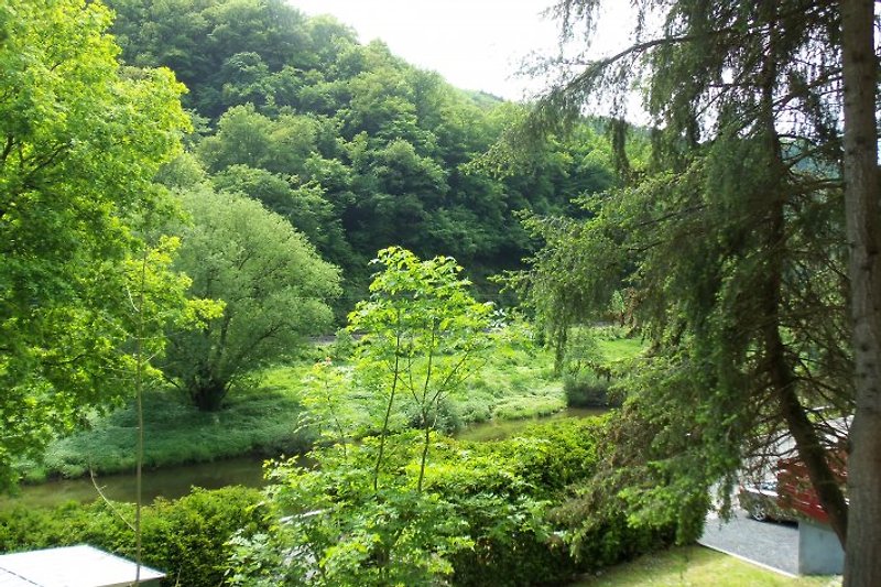Wasserblick vom Grundstück aus
