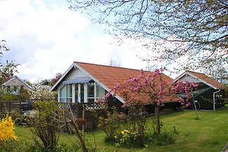 Hasselvænget Hus
