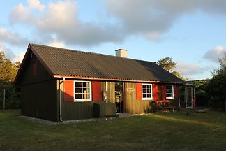 Sommerhus Beta