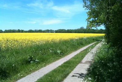 OstseeBrise, Schönberg/Holm, 2E/2K