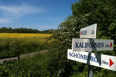 OstseeBrise, Schönberg/Holm, 2E/2K