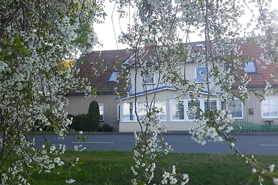 Ferienwohnung EUGENIJUS