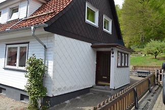 Gemütliches Ferienhaus