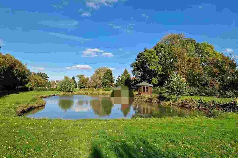 Der Teich