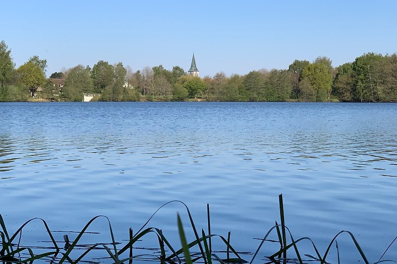 Haselünner See