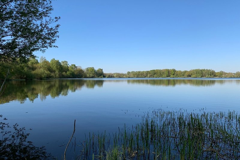 Haselünner See