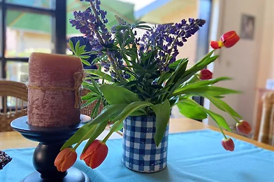 Ferienhaus Wacholderhain