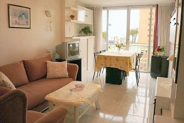 Ferienwohnung Benidorm