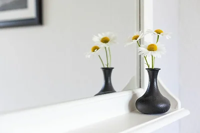 Appartamento Vacanza con famiglia Neustadt in Holstein