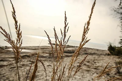 Vakantiehuis Ontspannende vakantie Sierksdorf