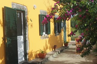 Casa Bouganvillea