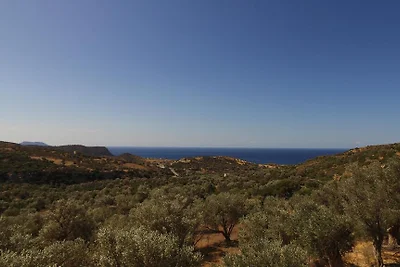 Petra Mare Babis