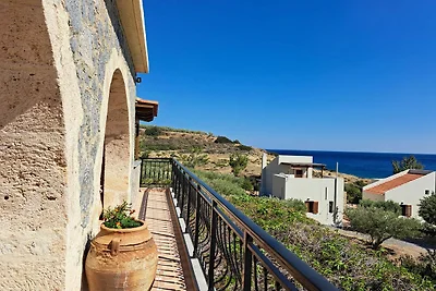 Petrino-View