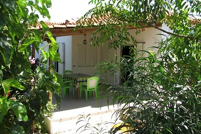 Nikos 11