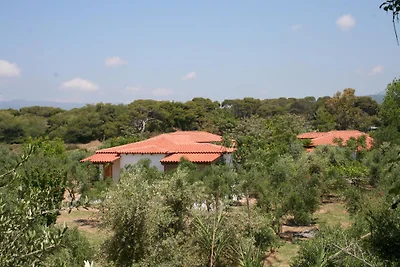 Nikos 13
