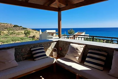 Petrino-View