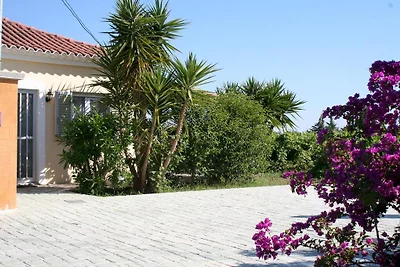 Orfanos 1