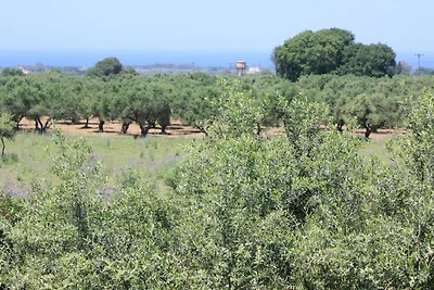 Casa vacanze Vacanza di relax Pyrgos