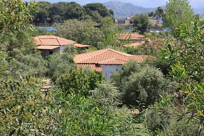 Nikos 12