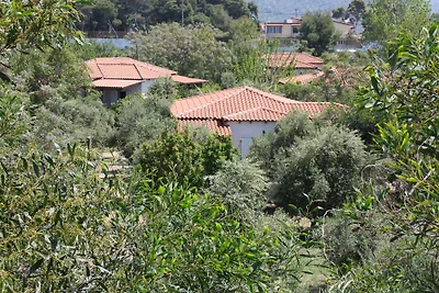 Nikos 9