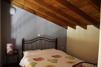 Vassia 3
