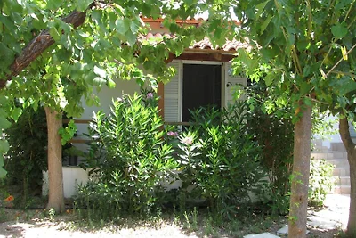 Nikos 6