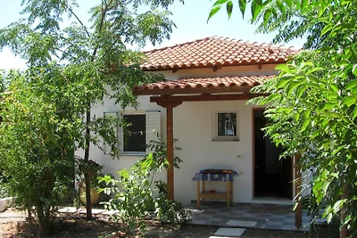 Nikos 8