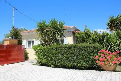 Orfanos 1