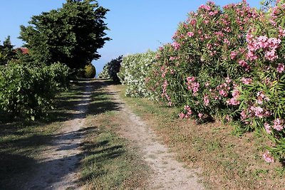 Vakantiehuis Ontspannende vakantie Aghia Triada