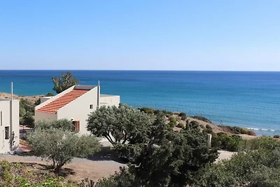 Armenopetra