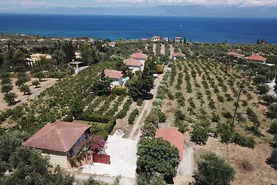 Orfanos 1