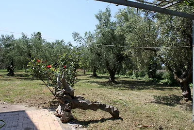 Casa vacanze Vacanza di relax Pyrgos