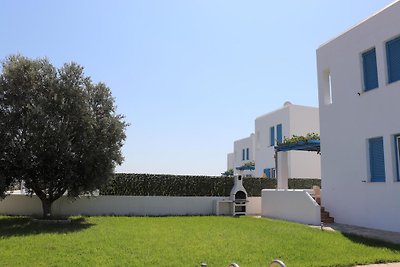 White Houses 4