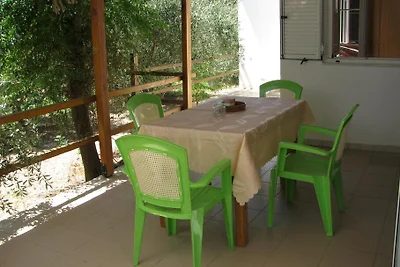 Nikos 12