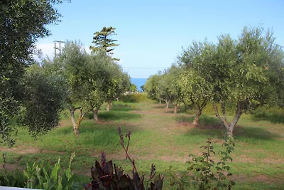Nikos Kastro 4