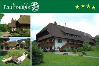 FeWo Paulimühle ****