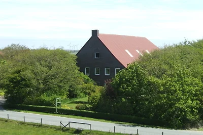 Veldbeeld