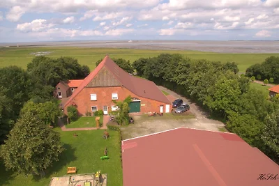 Veldbeeld