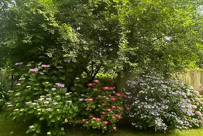 Haus Cecile, Bucht Mont St.-Michel