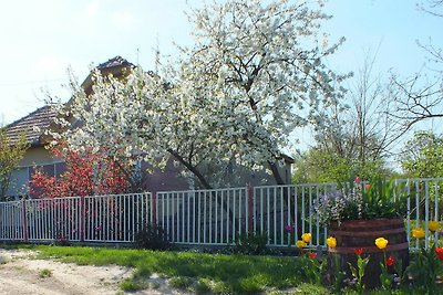 Domek letniskowy Ferienhaus Waldhof