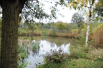 ****Fewo Daut/ Recke Töddenweg 22