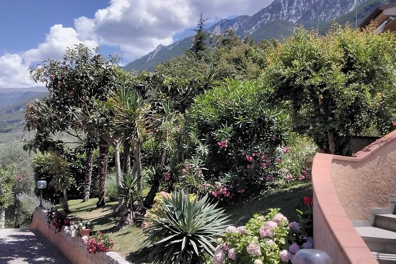 Mediterranean garden with views up to Monte Baldo